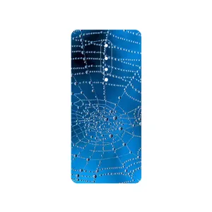 MAHOOT Spider web Cover Sticker for OnePlus 8