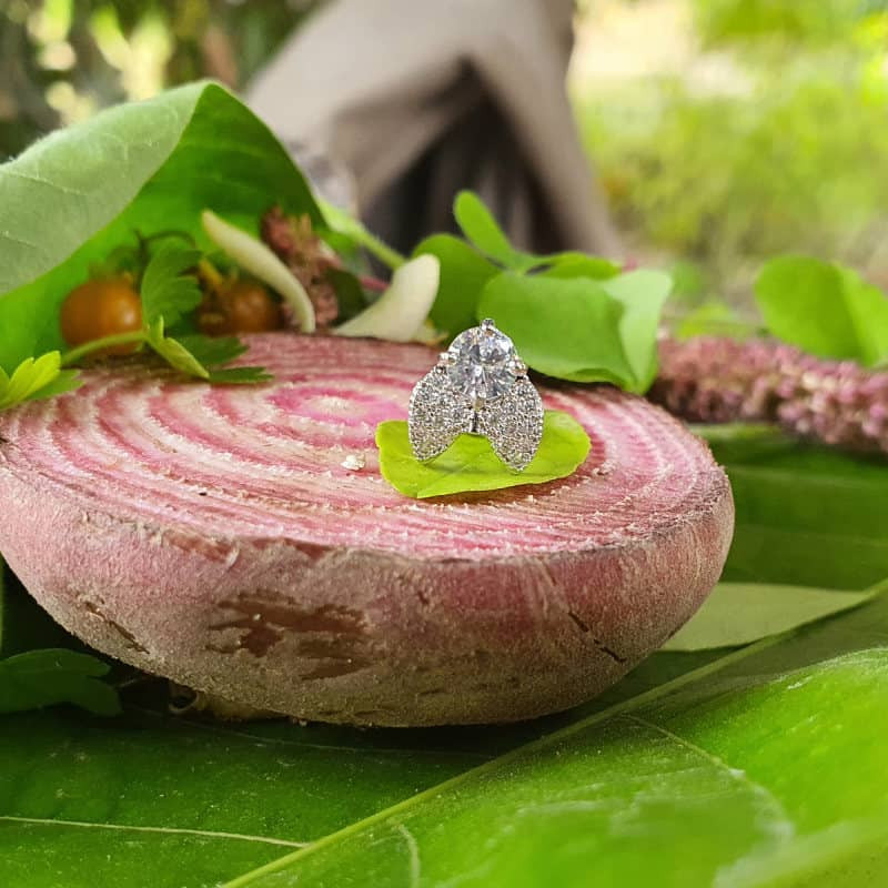 پیرسینگ گوش زنانه پایتخت مدل PS289 پیرسینگ گوش زنانه پایتخت مدل PS289