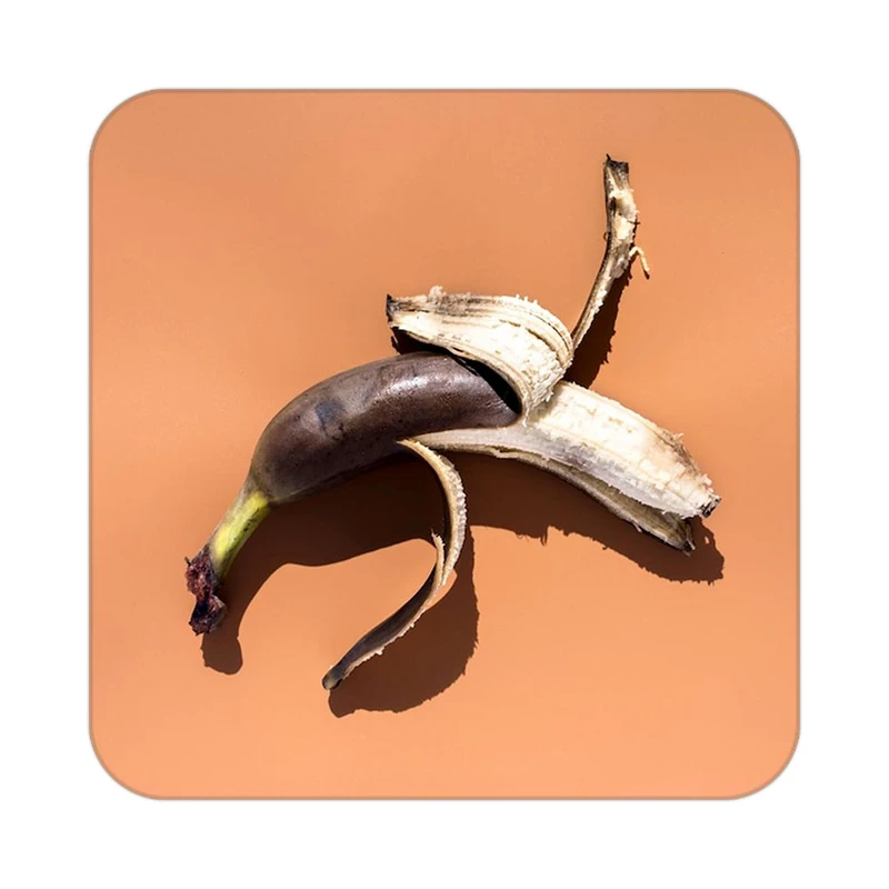 زیر لیوانی کاکتی طرح میوه مدل mp20225