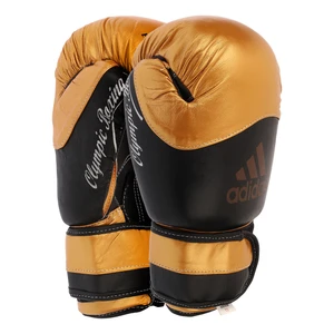 دستکش بوکس مدل Fiter pro 2020