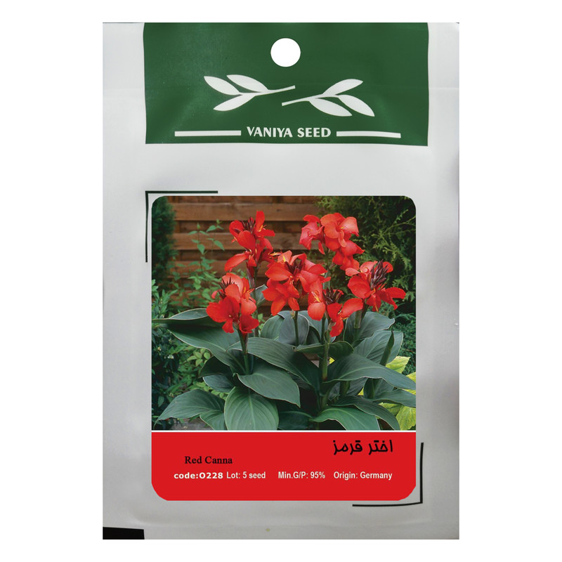 بذر گل اختر قرمز وانیا سید مدل O228 بذر گل اختر قرمز وانیا سید مدل O228