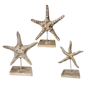 مجسمه مدل استند ستاره دریایی مجموعه 3 عددی