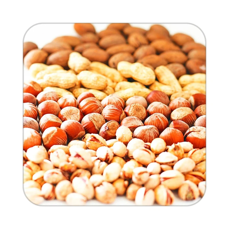 زیر لیوانی کاکتی طرح میوه مدل mp22597