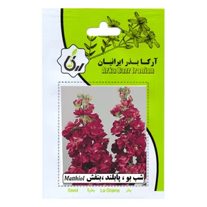 بذر شب بو پابلند بنفش آرکا بذر ایرانیان مدل C104
