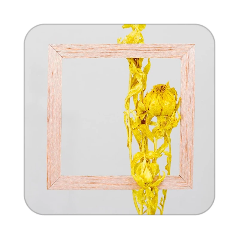 زیر لیوانی کاکتی طرح گل مدل mp19772