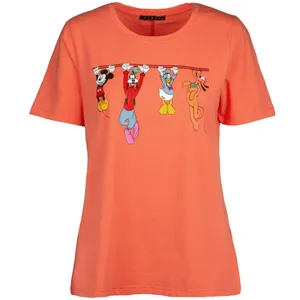 تی شرت آستین کوتاه زنانه مدل Sb-M-0974-g