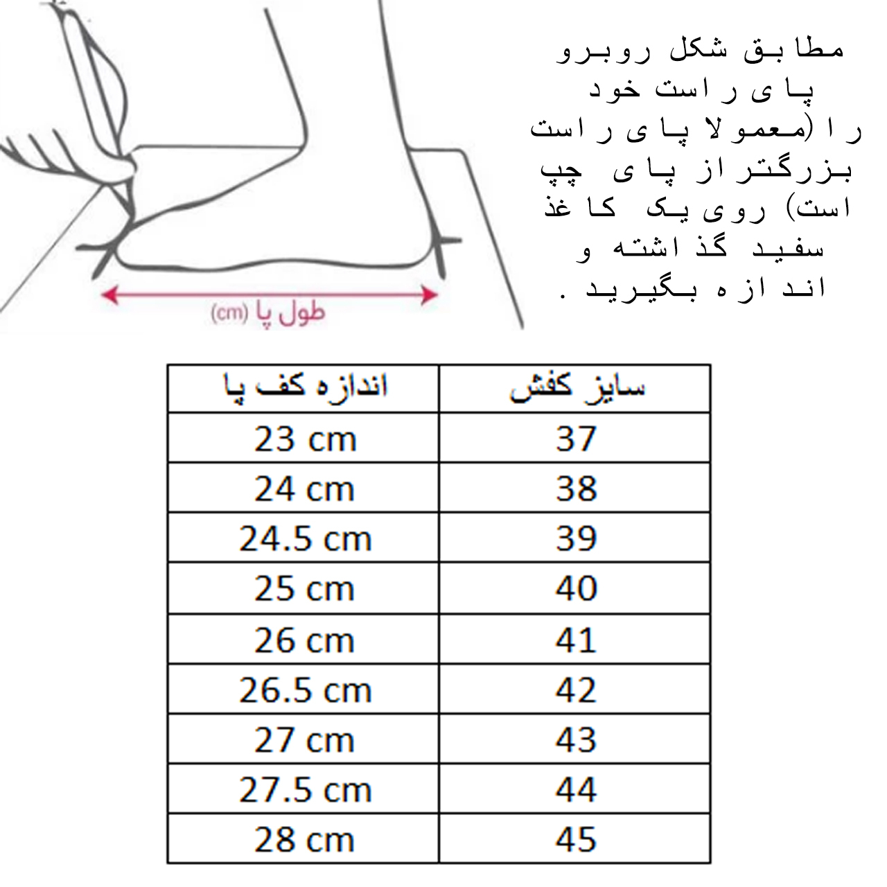 کفش والیبال مردانه مدل اسپرت کد C-8219