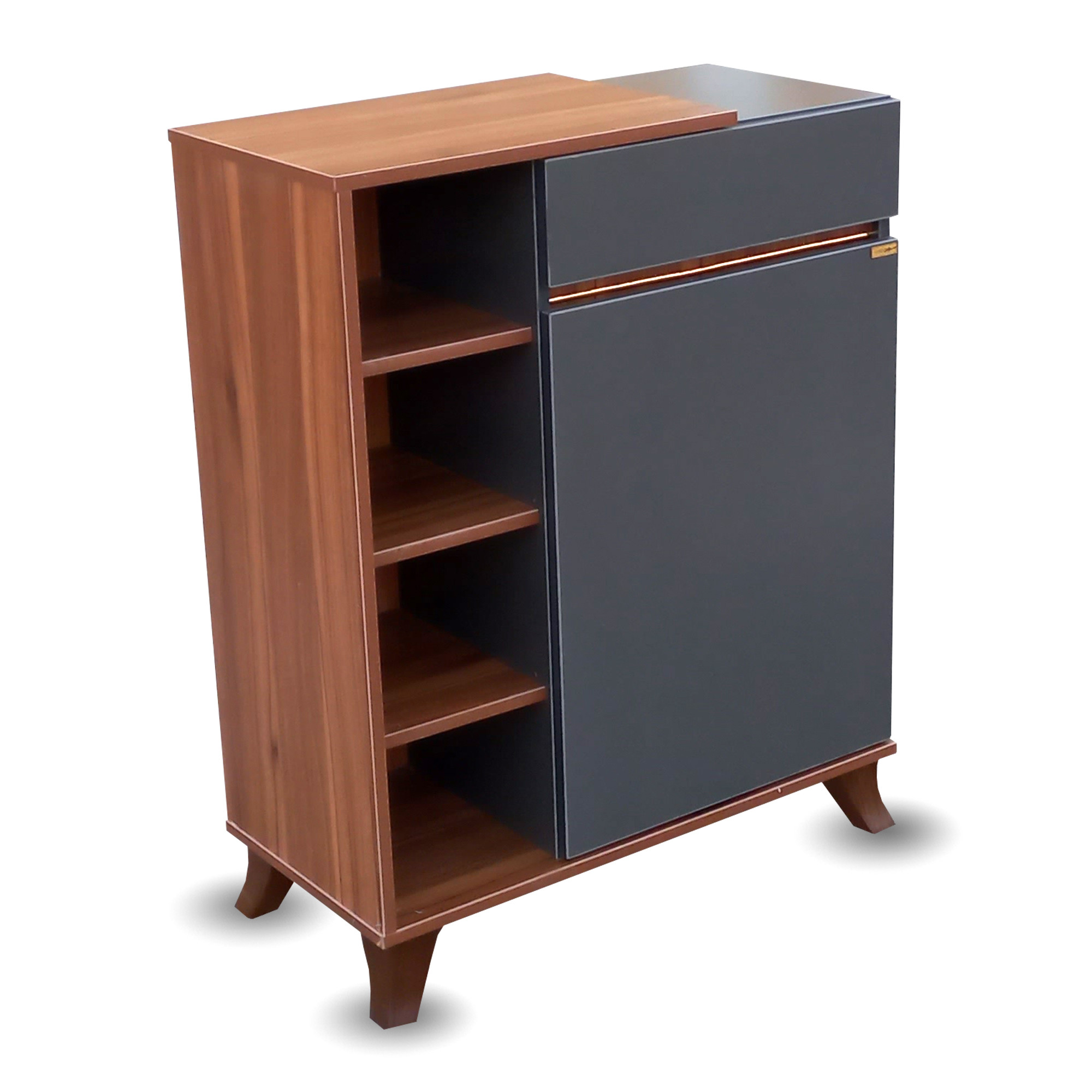 جاکفشی مدل الیانا