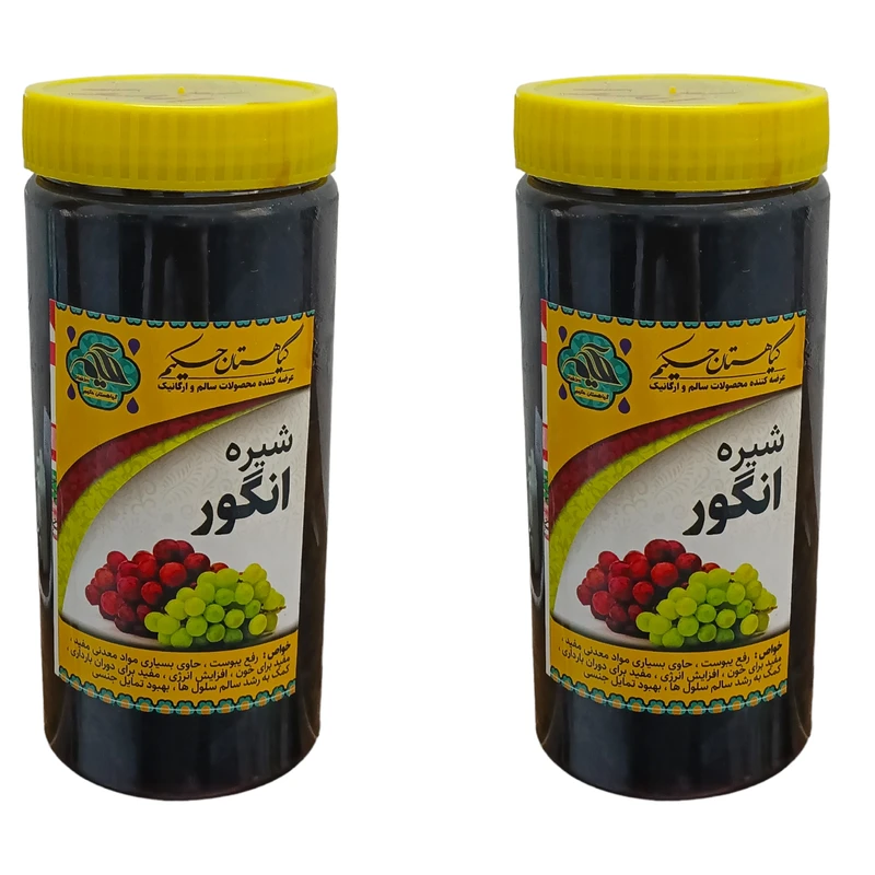شیره انگور گیاهستان حکیم - 1000 گرم بسته 2 عددی