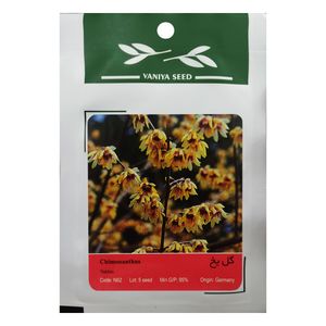 نقد و بررسی بذر بنسای گل یخ وانیا سید مدل N62 توسط خریداران