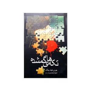 کتاب تکه‌های گمشده اثر جوی فیلدینگ نشر شادان 