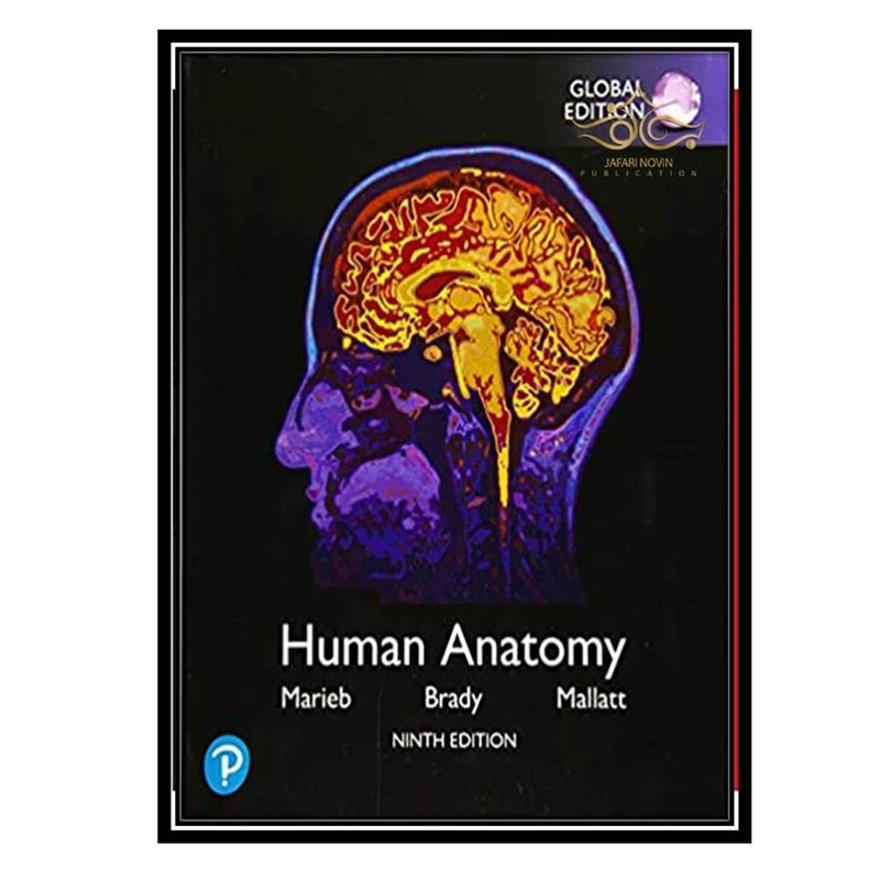 کتاب Human Anatomy, Global Edition اثر جمعی از نویسندگان انتشارات مؤلفین طلایی