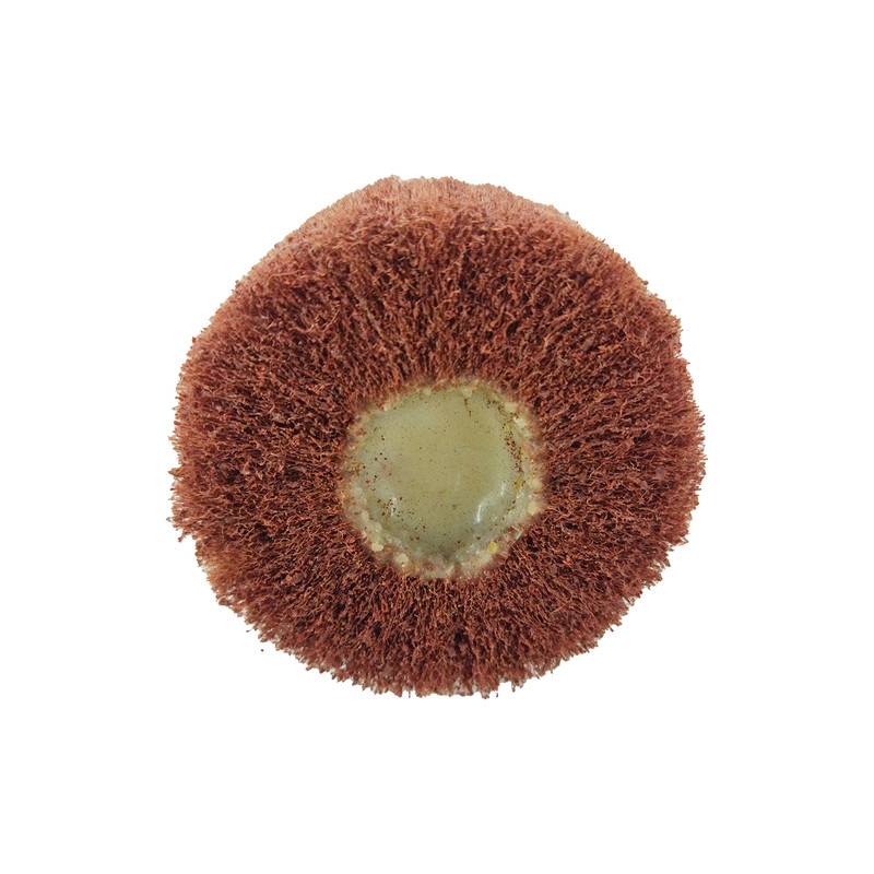 اسکاچ سنباده مدل Q50 مجموعه 2 عددی