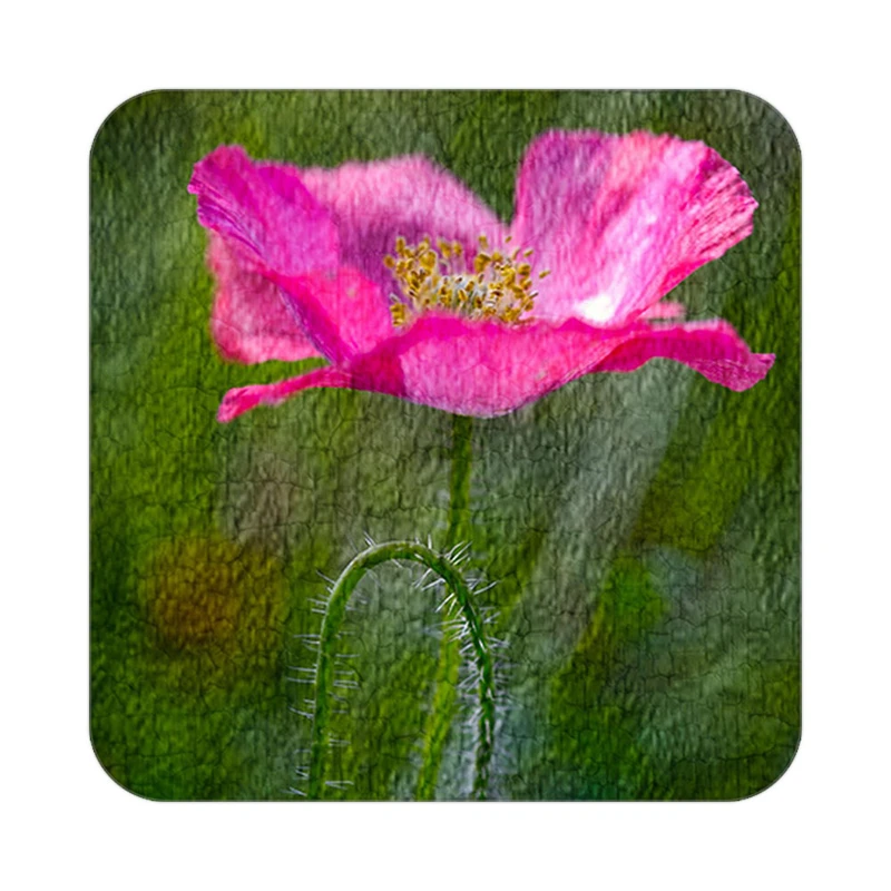 زیر لیوانی کاکتی طرح نقاشی رنگ روغن مدل mg10484