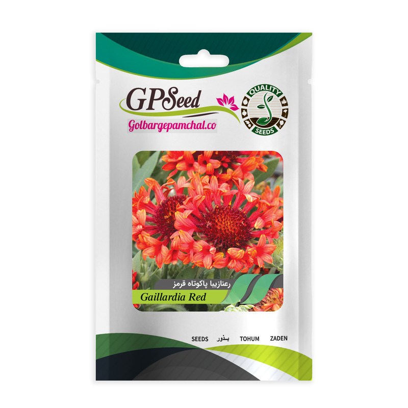 بذر گل رعنا زیبا پاکوتاه قرمز گلبرگ پامچال کد GPF-248
