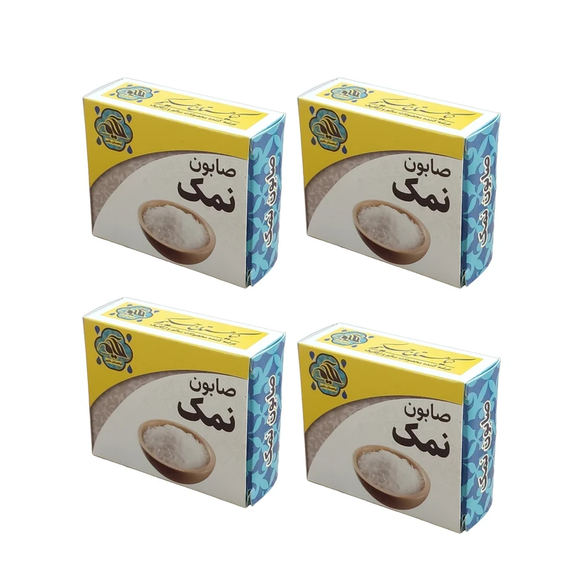 صابون شستشو  گیاهستان حکیم مدل نمک وزن 70 گرم بسته 4 عددی