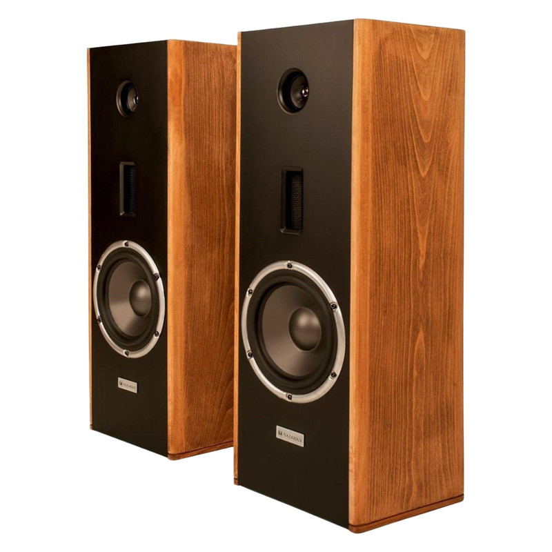 پخش کننده خانگی نظریان الکترونیک مدل A101