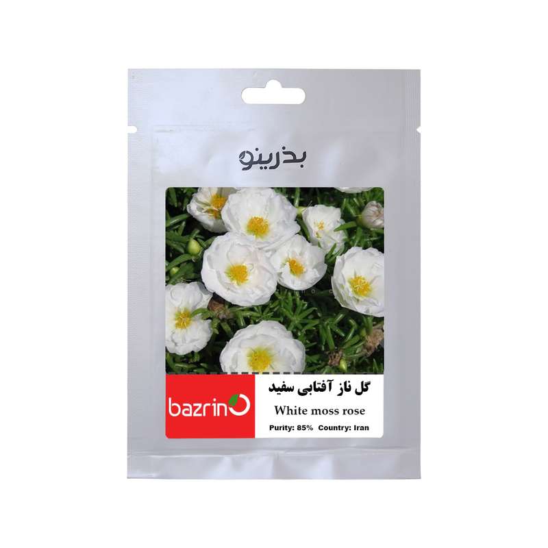 بذر گل ناز آفتابی سفید بذرینو کد BZNO-019