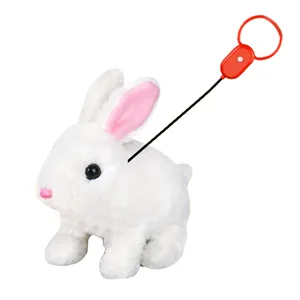 ربات کنترلی مدل خرگوش راهرو کد 921-3