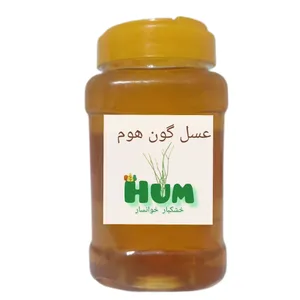 عسل گون هوم - 900 گرم