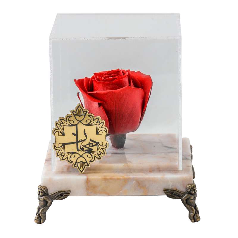 گل رز جاودان هیمان کد 1090