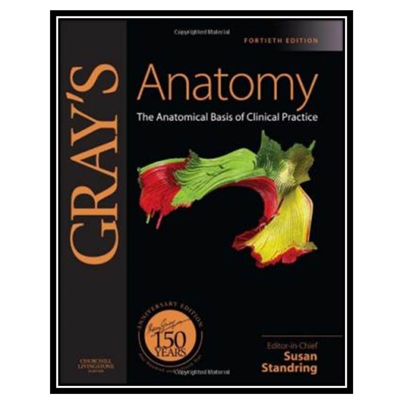 Учебник на русском the anatomical basis of Clinical Practice. Gray's Anatomy the anatomical basis of Clinical Practice 42nd Edition.
