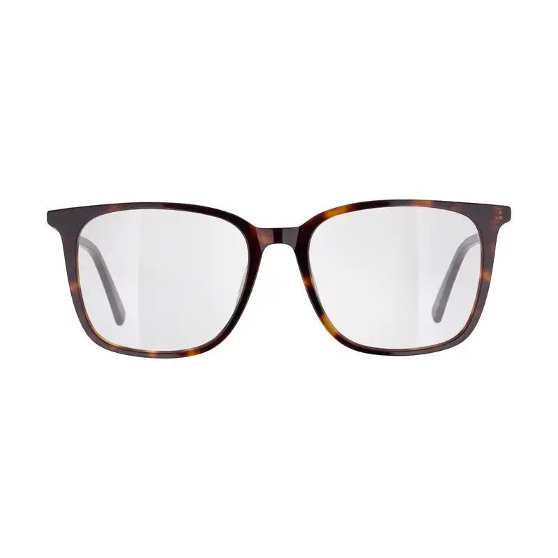 فریم عینک طبی مدل RGA105C3 Leopard Pattern