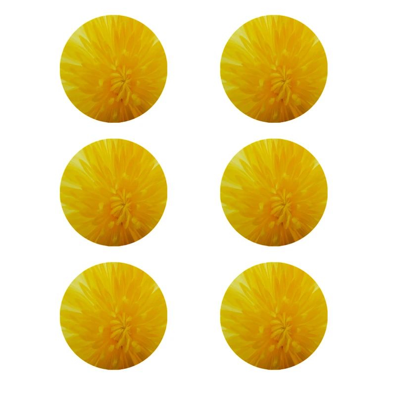 زیر لیوانی طرح گل کد 8327 بسته 6 عددی