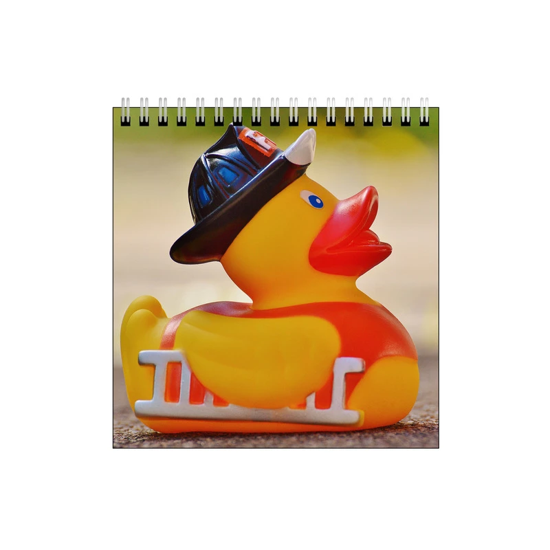 دفتر طراحی طرح اردک آتش نشان کد 2484068