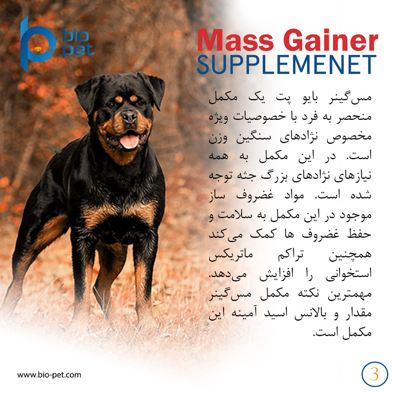 پودر مکمل سگ بایو پت مدل عضله‌ساز Mass Gainer وزن 400 گرم