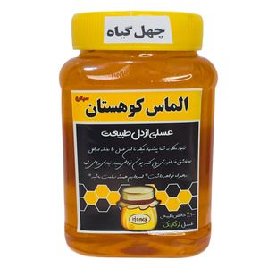 عسل طبیعی چهل گیاه خام سبلان الماس کوهستان - 1 کیلوگرم