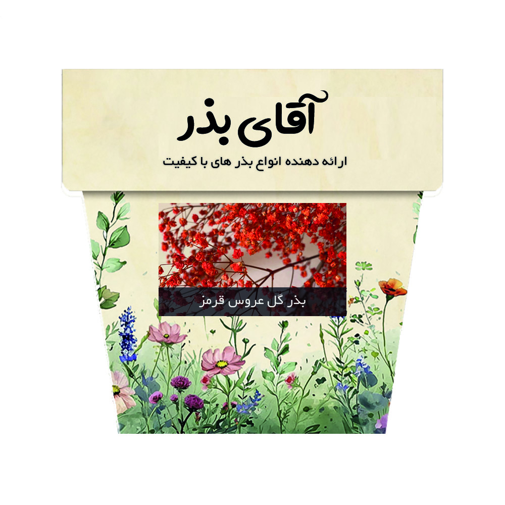 بذر گل عروس یا جیپسوفیلا آقای بذر مدل پاکوتاه قرمز