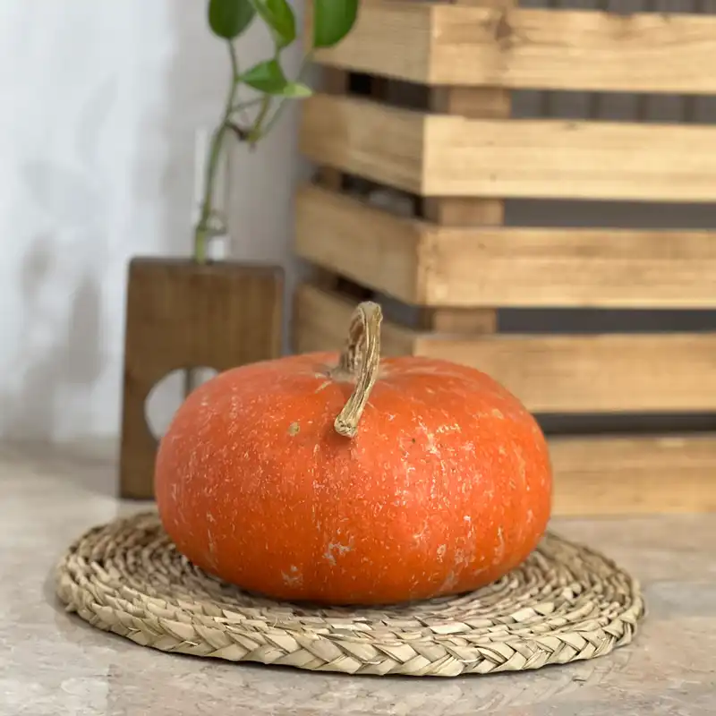 زیربشقابی و زیرقابلمه ای مدل گیس بافت