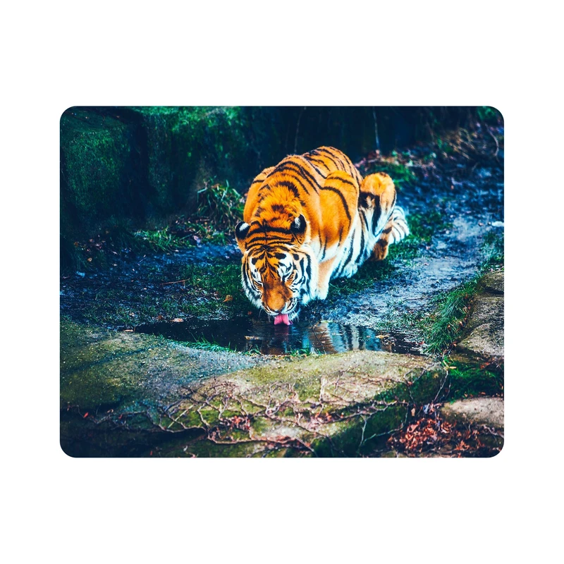 ماوس پد اطلس آبی طرح ببر در حال خوردن آب مدل T1698