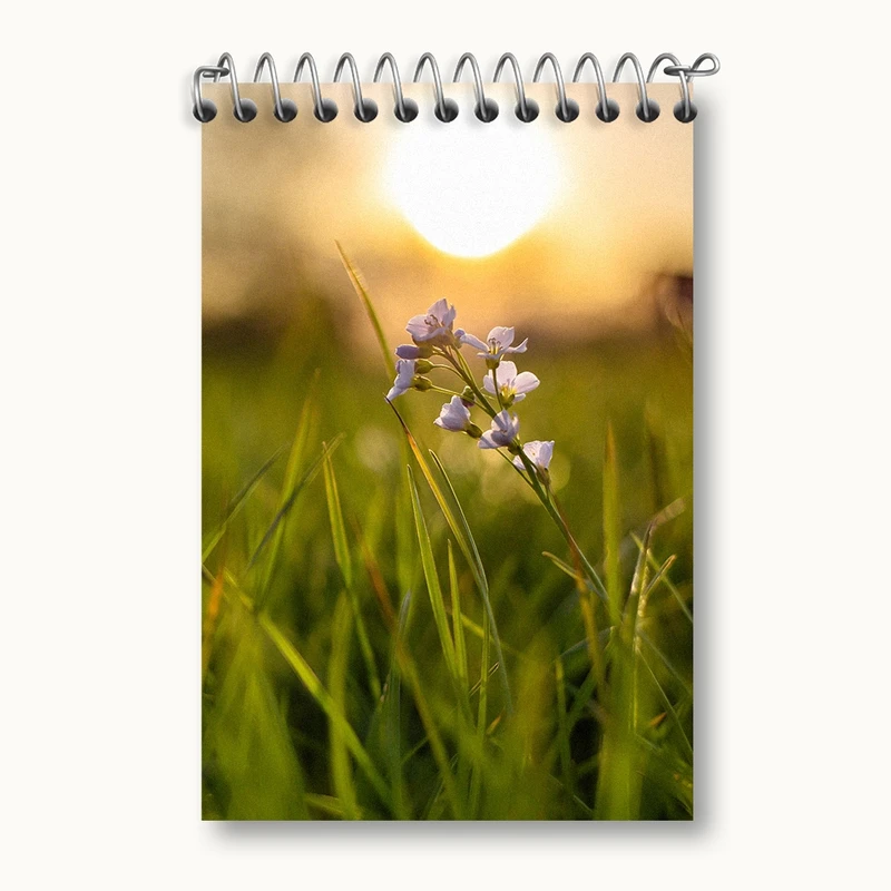 دفتر یادداشت 50 برگ خندالو مدل گل کد F1442