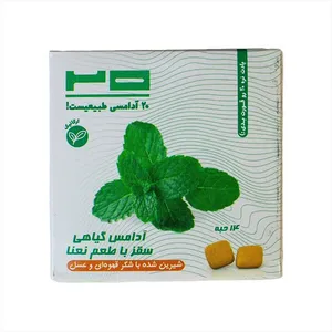 آدامس گیاهی سقز با طعم نعنا بیست - 25 گرم