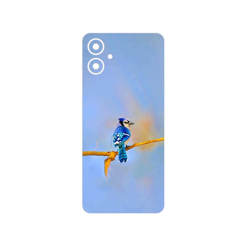 برچسب پوششی ماهوت مدل Cyanocitta cristata مناسب برای گوشی موبایل سامسونگ Galaxy A06