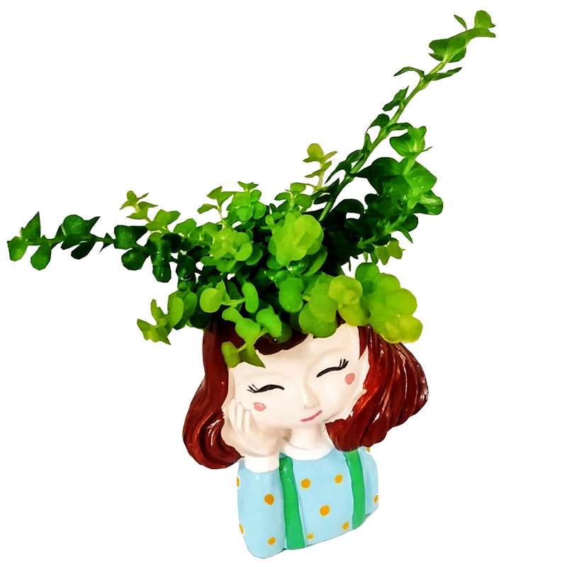 گیاه طبیعی چمن طلایی مدل B-16 گیاه طبیعی چمن طلایی مدل B-16