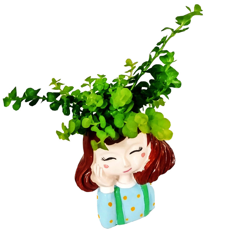 گیاه طبیعی چمن طلایی مدل B-16 گیاه طبیعی چمن طلایی مدل B-16