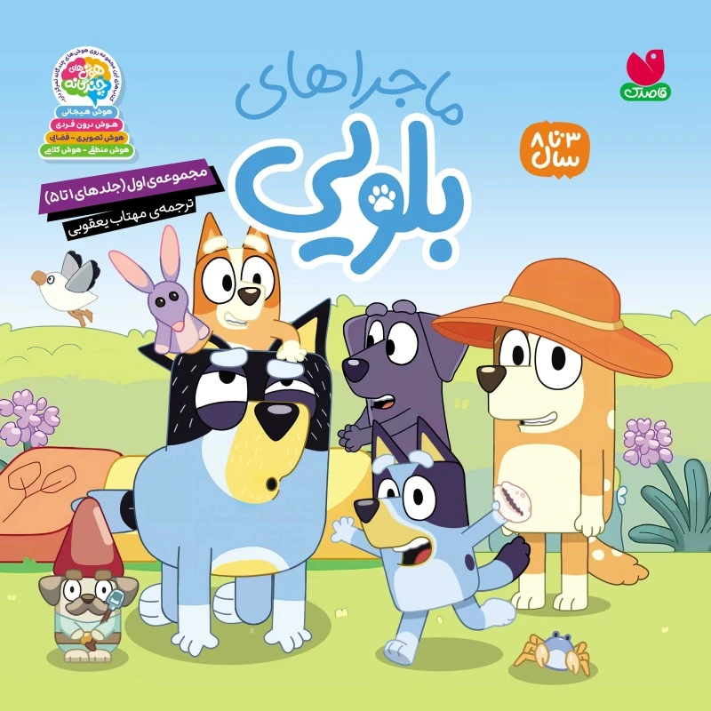 كتاب ماجراهای بلویی اثر انتشارات پنگوئن ترجمه مهتاب یعقوبی نشر ذكر