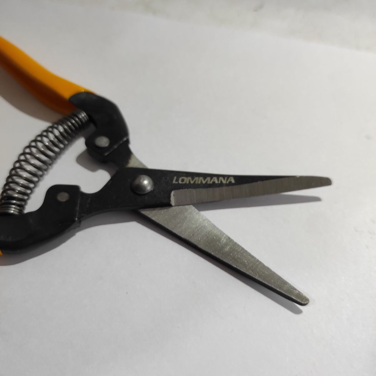 قیچی میوه چینی لومانا مدل LO-2