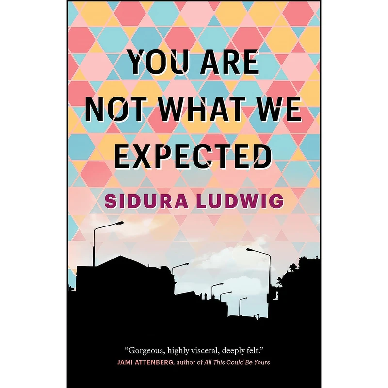 کتاب You Are Not What We Expected اثر Sidura Ludwig انتشارات Astoria