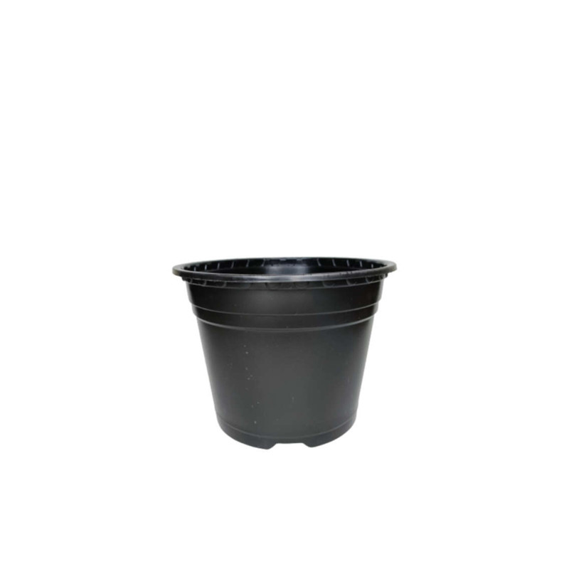 گلدان طرح ژله ای مدل a-19 بسته 10 عددی