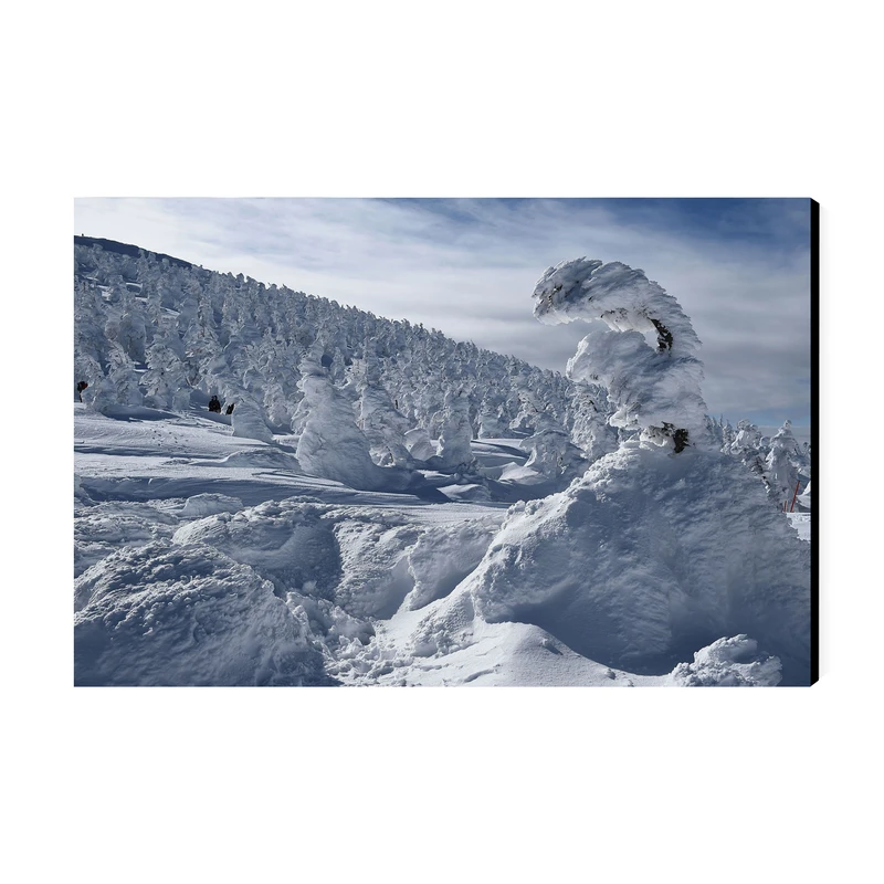 تابلو شاسی عرش طرح گردشگری ژاپن مدل هیولاهای برفی در کوه زائو کد As6249