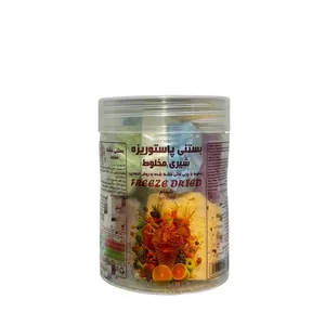 بستنی خشک مخلوط 6 طعم شینام - 70 گرم