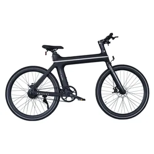 دوچرخه برقی نگین مدل Future1 سایز طوقه 28 اینچ