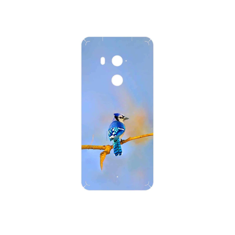 برچسب پوششی ماهوت مدل Cyanocitta cristata مناسب برای گوشی موبایل اچ تی سی U11 Plus