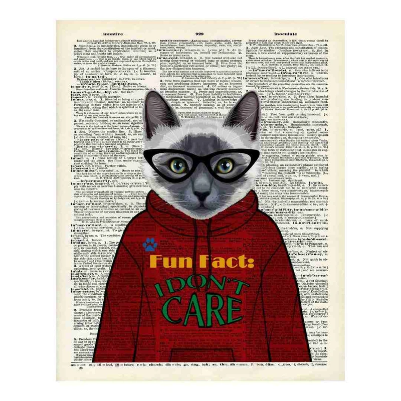 پوستر مدل گربه در کلاه و عینک