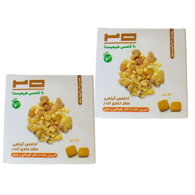 آدامس گیاهی سقز و کندر بیست - 25 گرم مجموعه 2 عددی