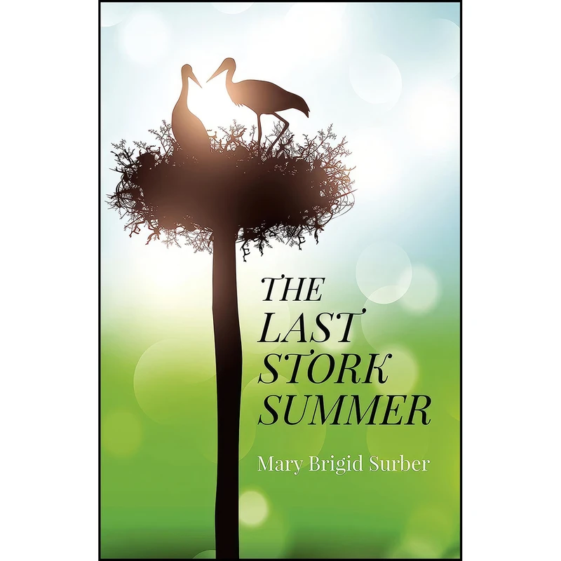 کتاب The Last Stork Summer اثر Mary Brigid Surber انتشارات Top Hat Books